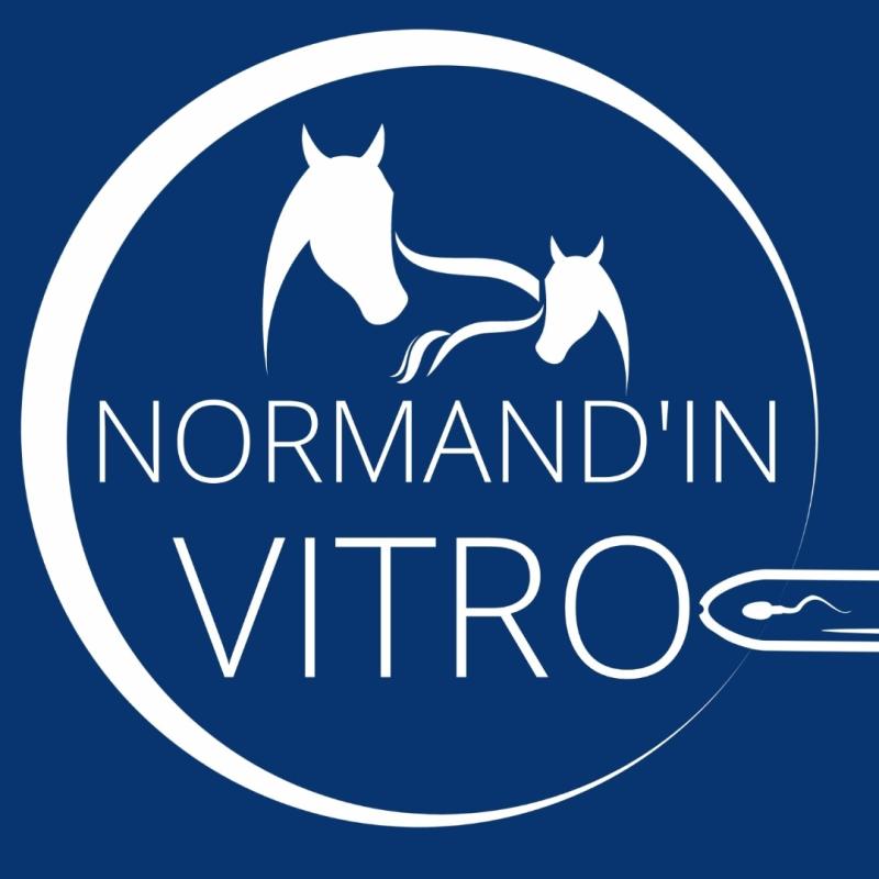 Nrmand'in Vitro